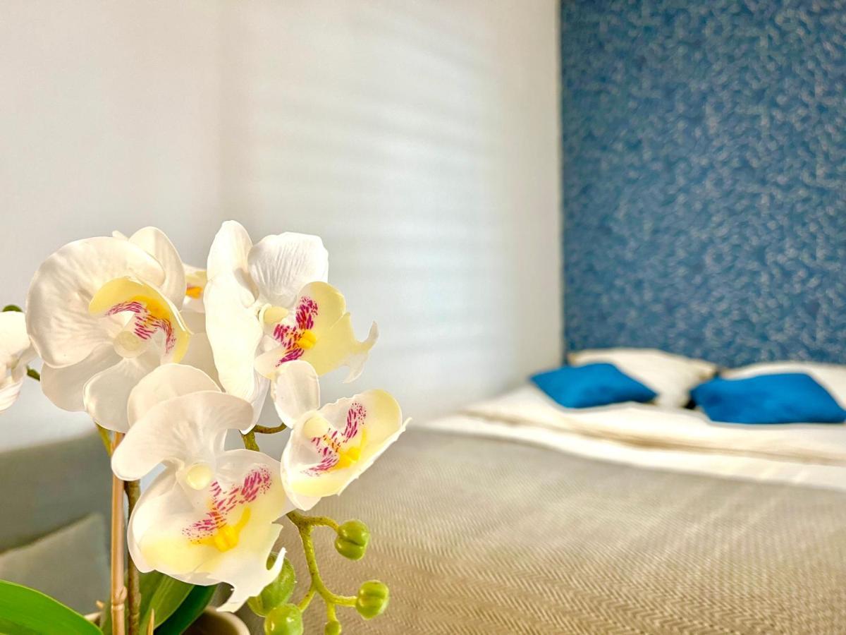 Cocon Luxe - Sauna & Balneo Au Coeur De Reims Ngoại thất bức ảnh